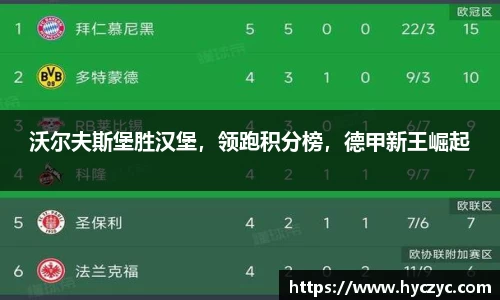 沃尔夫斯堡胜汉堡，领跑积分榜，德甲新王崛起